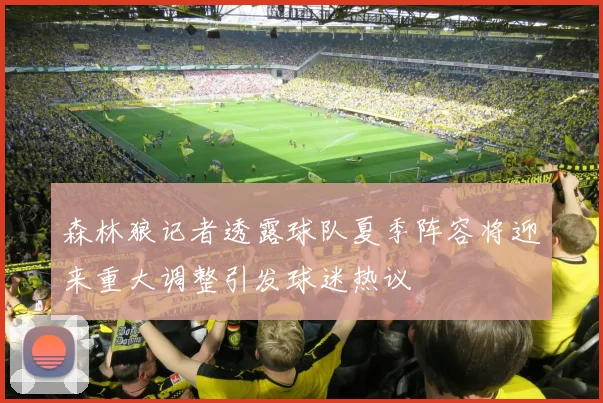森林狼记者透露球队夏季阵容将迎来重大调整引发球迷热议